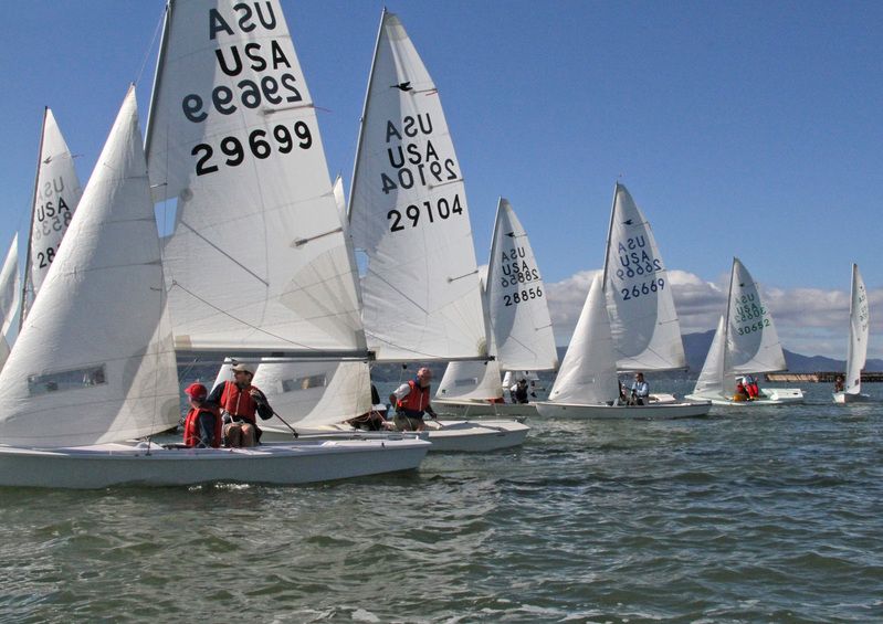 Modern Snipes lined up together on the Bay