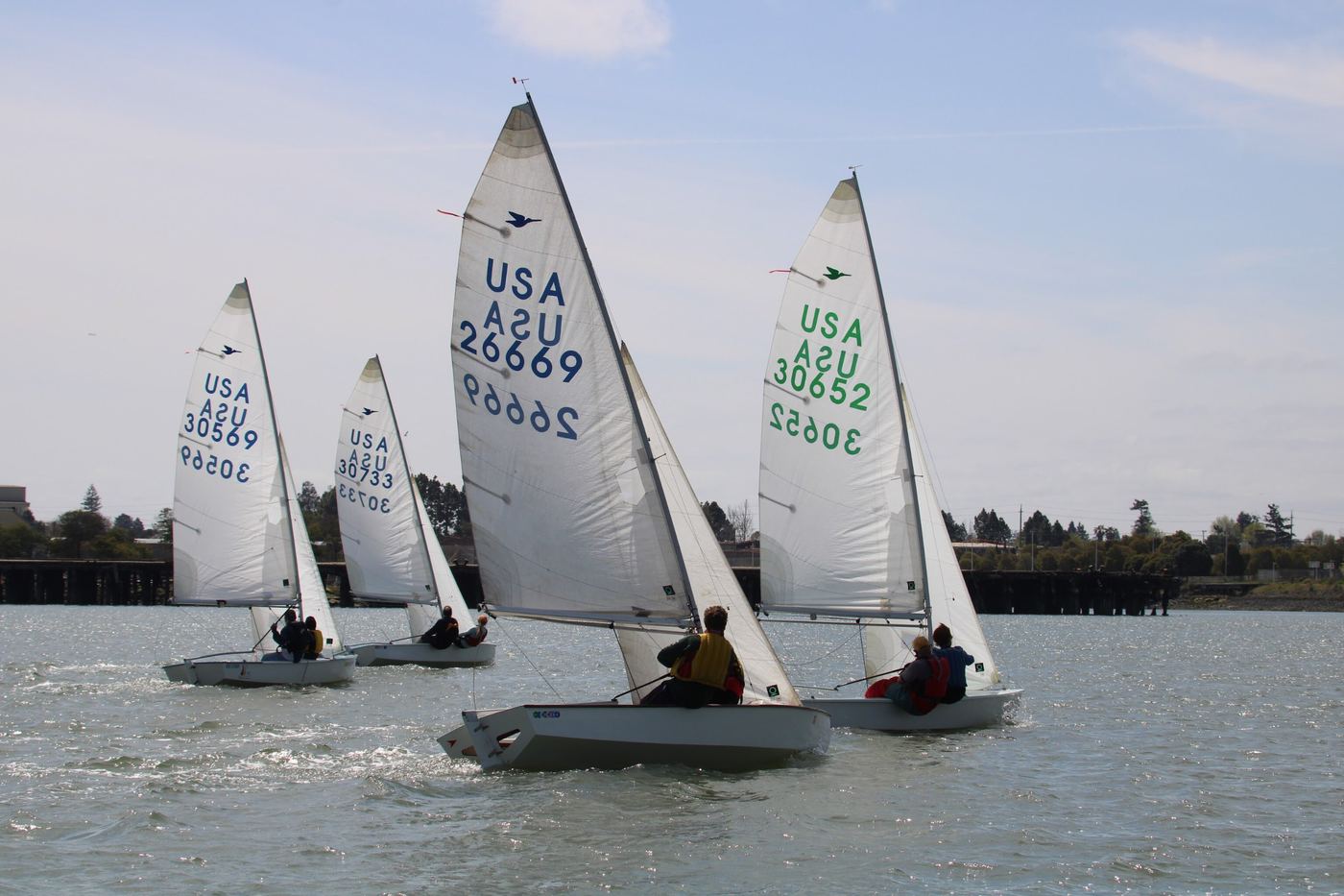 Snipes racing upwind