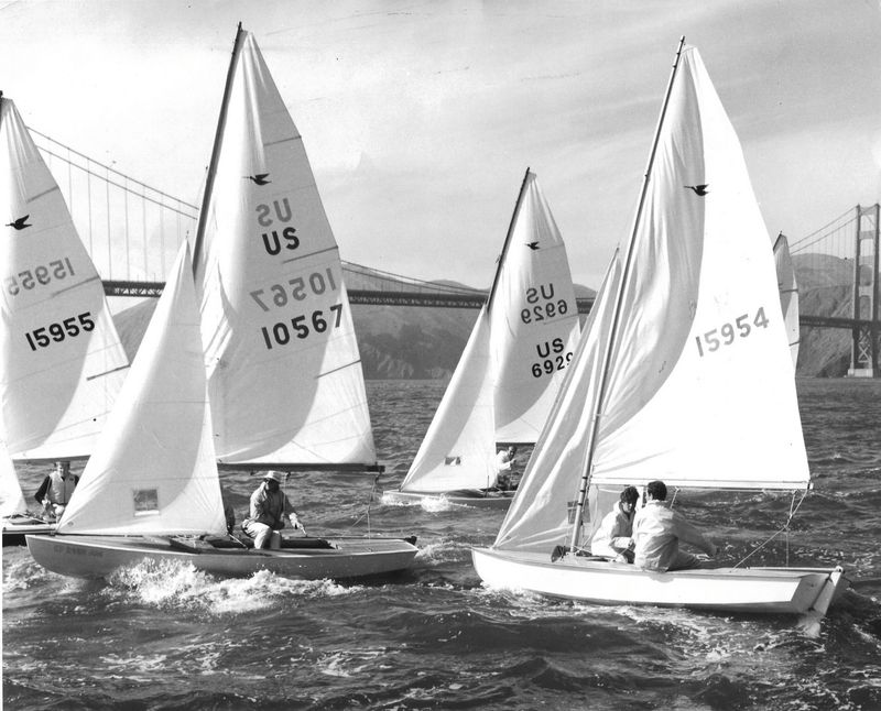 Snipes racing upwind in a breeze in front of the Golden Gate Bridge